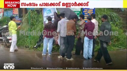 മണ്ണാർക്കാട് KSU- MSF സംഘർഷം; പച്ച വട്ടത്തിൽ KSU പ്രവർത്തകർ കരി ഓയിൽ ഒഴിച്ചെന്ന് MSF