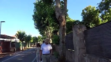 José Ortega Cano se muestra serio al ataque de la hermana de Michu contra Gloria Camila