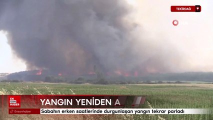 Tekirdağ'da başlayarak Çanakkale'ye ulaşan yangın yeniden alevlendi