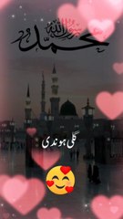 Gali Hundi Madine Di | Dil Ko Chu Jane Wali islamic Naat Status