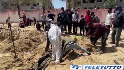 Video News - "Mio fratello ucciso a Gaza"