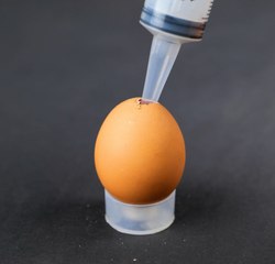 L'APRÈS ŒUF : BRICOLAGE AVEC les restes de Pâques !