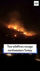 Two wildfires ravage northwestern Turkey