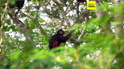 L'UNESCO a intégré  26 nouveaux sites admis au patrimoine mondial