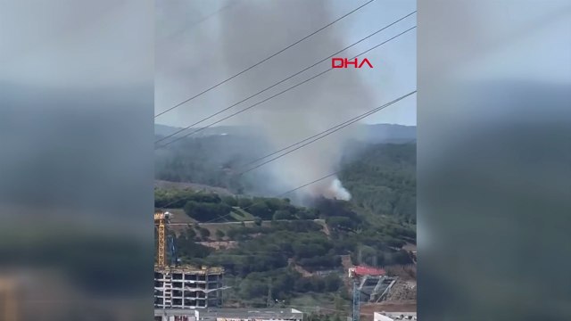 İstanbul'da Sultangazi Kent Ormanı’nda yangın