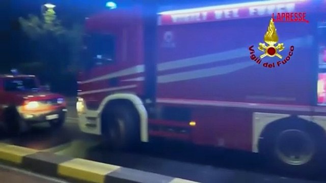 Pescara, incendio nella pineta Dannunziana: l'intervento dei vigili del fuoco