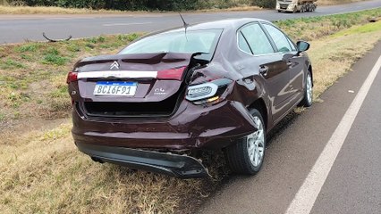 Cachorros atravessam rodovia e freada brusca para evitar atropelamento resulta em colisão