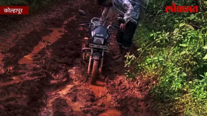 विद्यार्थ्यांच्या शिक्षणात चिखल अन् ओढ्याचे संकट, शाळेत वन्यप्राण्यांची भीती...