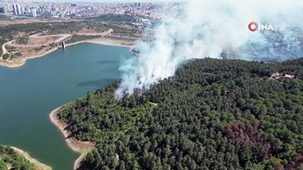 Sultangazi Kent Ormanı’nda yangın