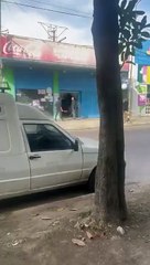 Relato salvaje: pelea a palazos en un supermercado por una botella de agua