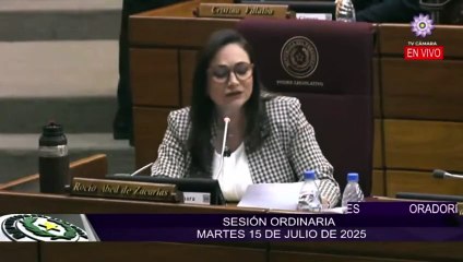 Las declaraciones que hizo la parlametaria colorada.