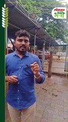 लम्पी रोगाचा धोका पुन्हा वाढला! शेतकऱ्यांना जनावरांची घ्या काळजी