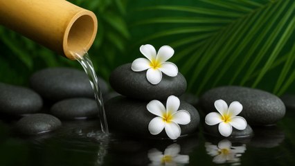 Musique d’Ambiance Pour Se Détendre et Dormir | 4K | Le Murmure du Bambou