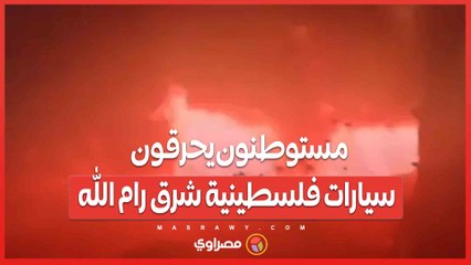 في وضح النهار.. مستوطنون يحرقون سيارات فلسطينية شرق رام الله