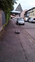 Main Character Video 🎬