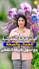 العطرشية تخلصك من التجاعيد ومفيدة للجهاز الهضمي وأكثر... مع طريقة ساهلة للتقطير !