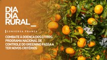 Combate à doença dos citros: programa nacional de controle do Greening passa a ter novos critérios