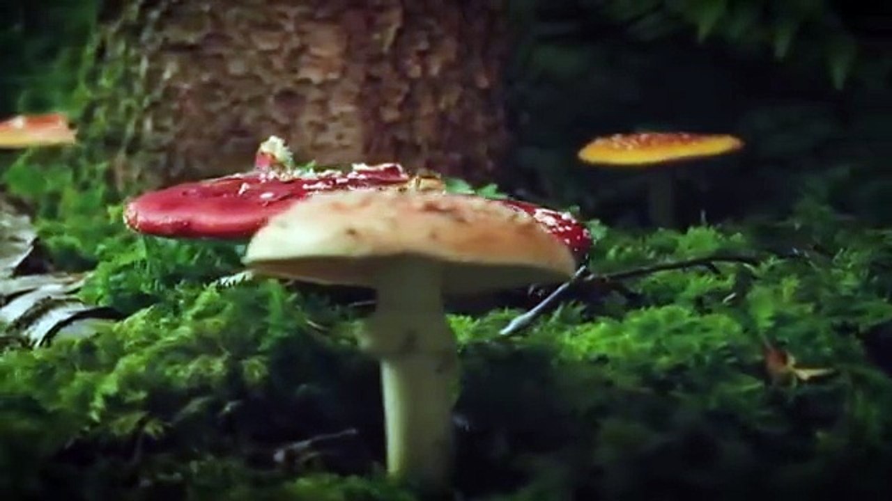 300 millones de años Episodio 1  - La Gran Colision