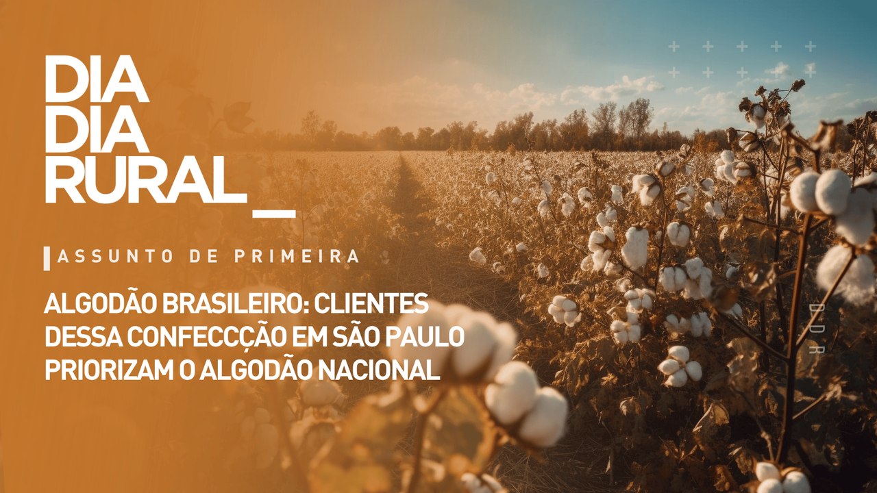 Algodão brasileiro: clientes dessa confecção em são paulo priorizam o algodão nacional