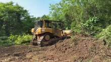 The Process of Opening Oil Palm Land Using Bulldozer D6R XL