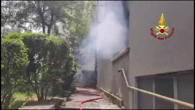 Trieste, incendio in una palazzina Ater: evacuate due persone e salvati tre animali domestici (16.07.25)