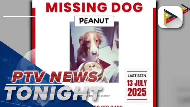 QC LGU urges public to help find missing pets