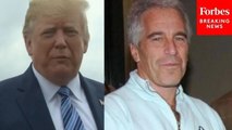 Epstein's Ex-Girlfriend Stacey Williams Claims Trump & Epstein Were