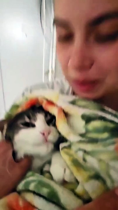 Cats only cats