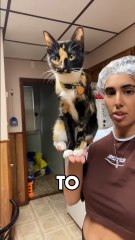 Gravity is Definitely Against Him