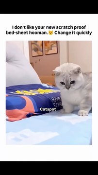 I don't like your new scratch proof bed-sheet hooman. 😾 change it quickly