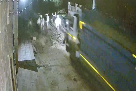 Pali News : बजरी माफियाओं ने यहां फैलाई दहशत, रात के अंधेरे में घर की बालकॉनी व रेलिंग तोड़ी, मवे​शियों के पीछे भगाया डम्पर