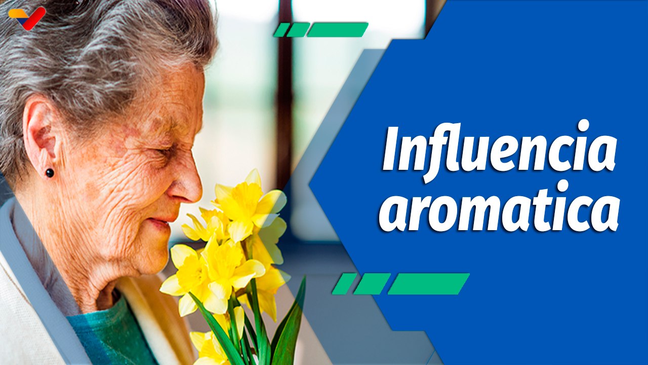 Actitud Saludable | El poder del olfato en la creación de espacios inmersivos