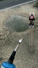 That’s Not a Joke, That’s Betrayal!😂