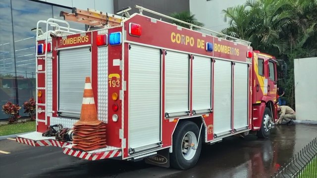Pitbull é capturado pelos Bombeiros após invadir supermercado em Cascavel