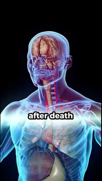 5 Creepy Facts About the Human Body You Never Knew #facts #amazingfacts #shorts #interestingfacts