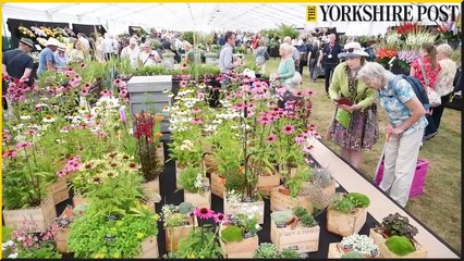 RHS Flower Show Wentworth Woodhouse