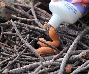 Light a Campfire in Seconds with This Smart Trick