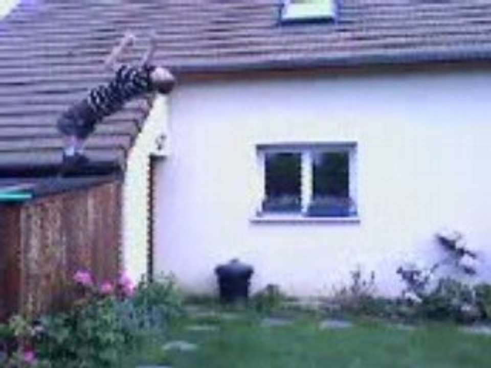 salto arrière