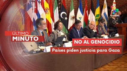 Cumbre del Grupo de La Haya rechazó acciones genocidas contra Palestina
