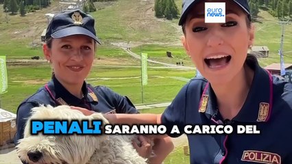 Italia, abbandono degli animali, lanciata la campagna social della Polizia Stradale