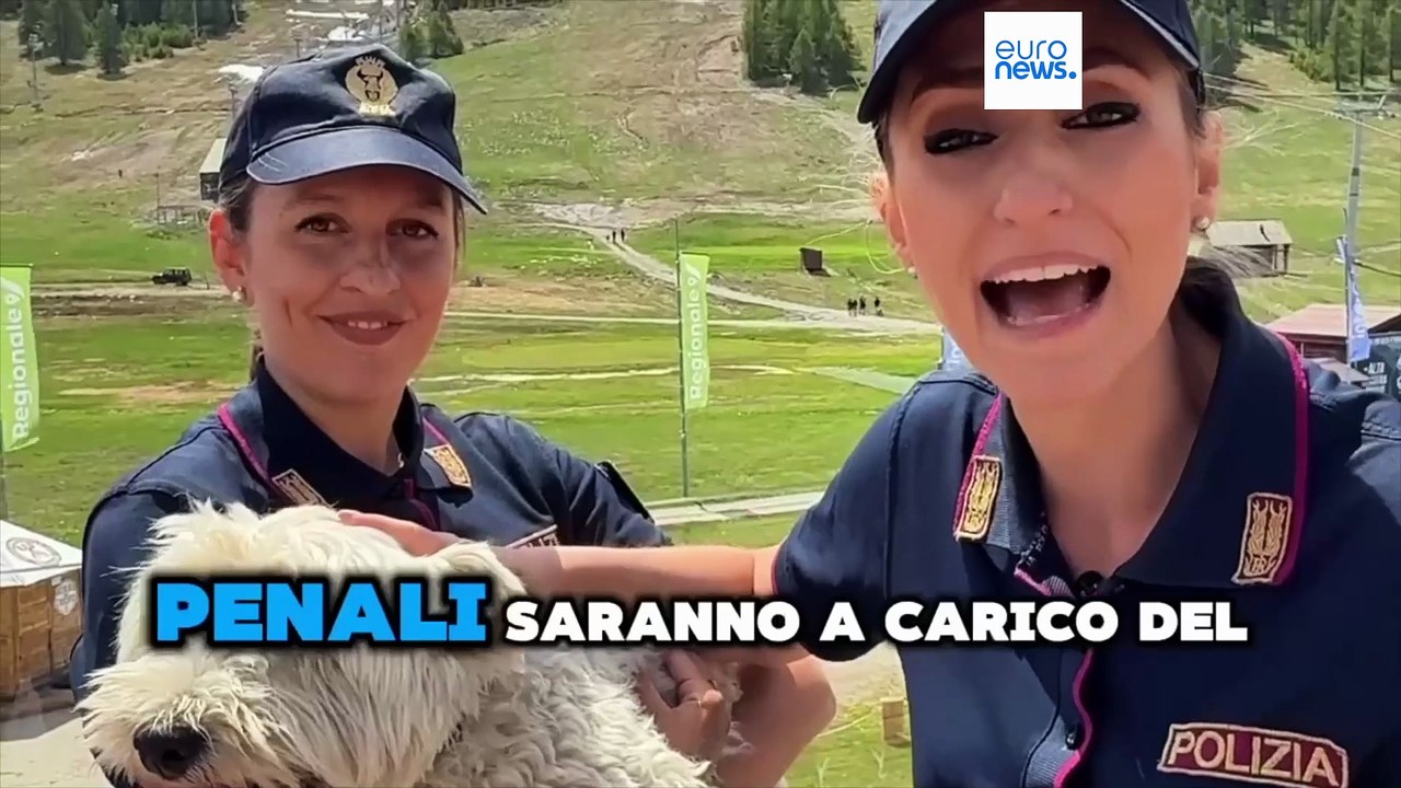 Italia, abbandono degli animali, lanciata la campagna social della Polizia Stradale
