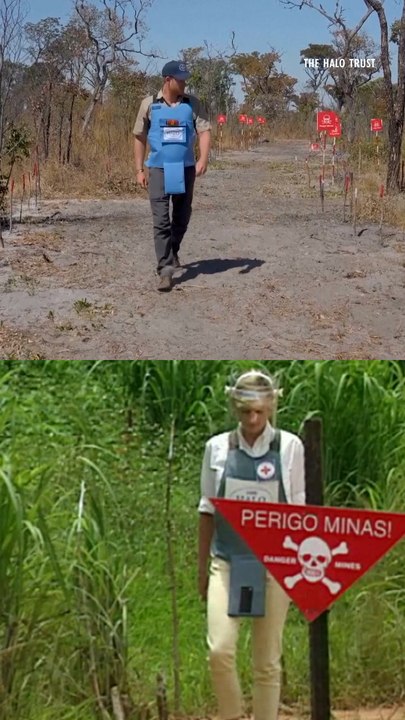 Prince Harry Visits Angola, Continuing His Mother, Princess Diana's, Humanitarian Legacy