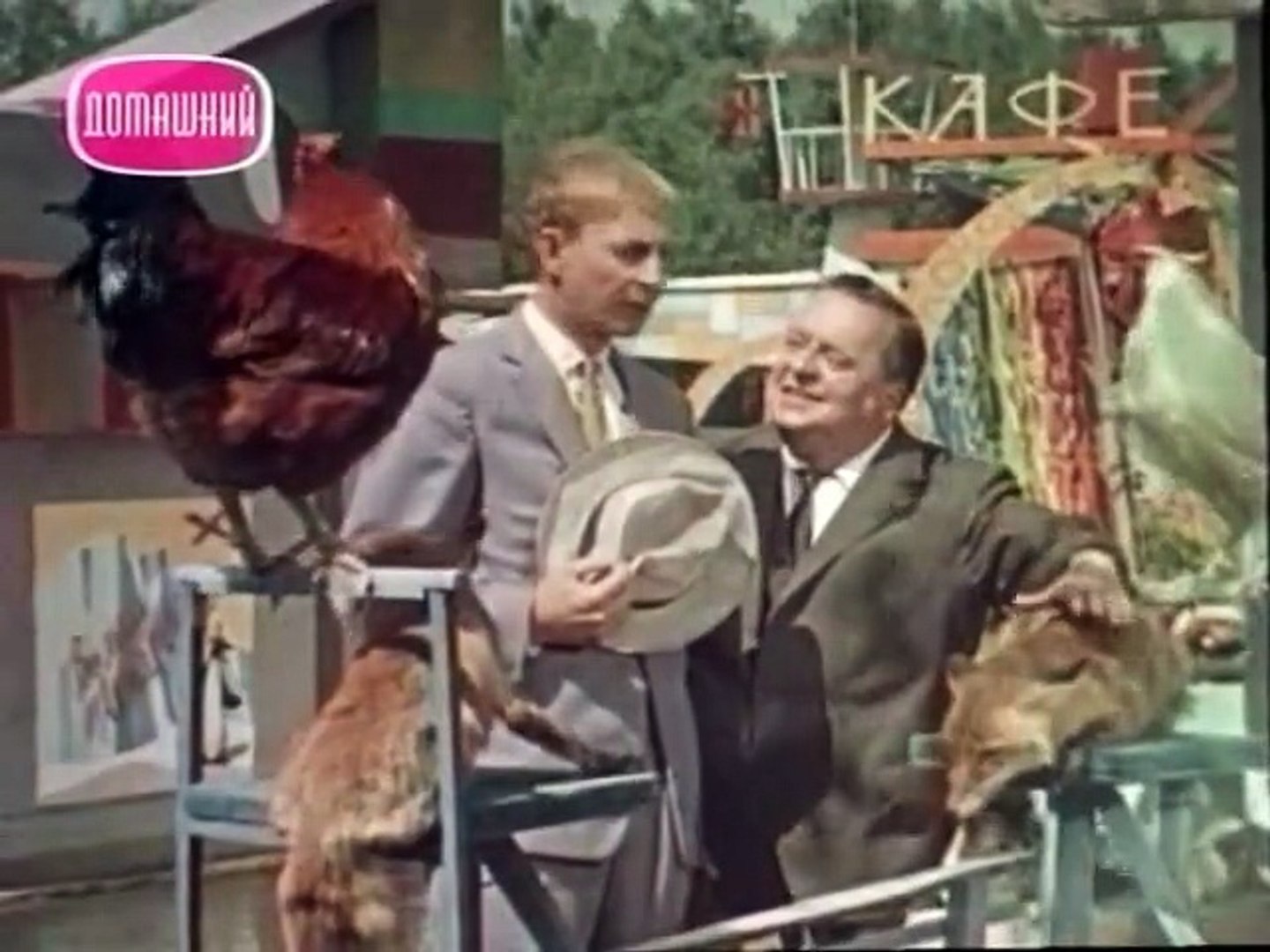 ⁣Необыкновенный город.