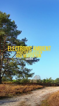 ✅💘Música ambiente Reiki para meditação e relaxamento- Equilibrar os chakras e lei da atração- Fragmentos #89