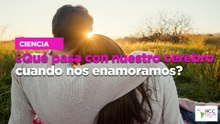 ¿Qué pasa con nuestro cerebro cuando nos enamoramos?