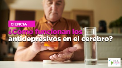 ¿Cómo funcionan los antidepresivos en el cerebro?