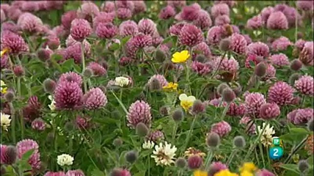 Mirando Al Atlántico: Explorando Irlanda, Escocia, Islas Feroe E Islandia