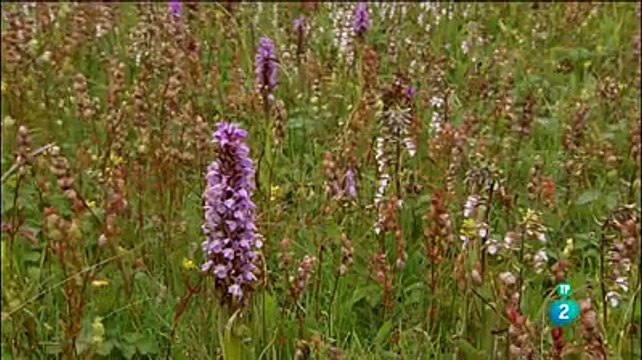 Documental Mirando Al Atlántico: Francia, Islas Del Canal E Inglaterra