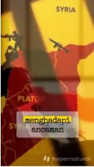 Liga Muslim Dunia Kutuk Keras Serangan Israel ke Suriah