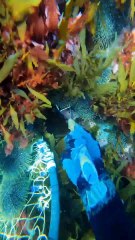 lesson learned, fish bite HARD..